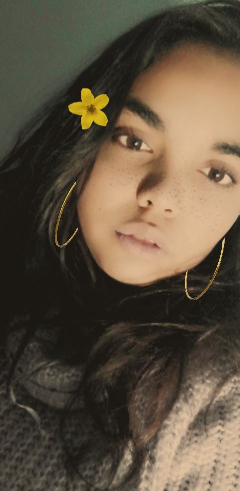 Stefy Stefy